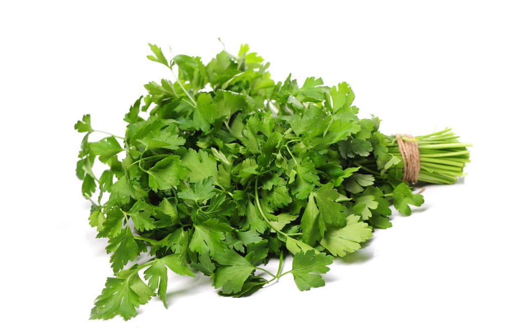 Parsley